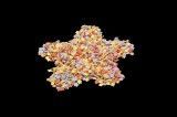 Confetti virgok (100 g)